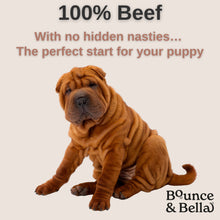 Load image into Gallery viewer, Pure Beef Nibbles – Just One Ingredient (Box of 12 x 100g)