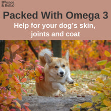 Load image into Gallery viewer, Fish Skin Snacks – Low Fat Dog Treats (box of 10 x 100g)