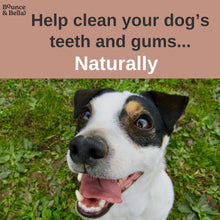 Load image into Gallery viewer, Natural Dog Dental Chews - Chicken, Beef and Green Tea  (Box of 12 x 100g)