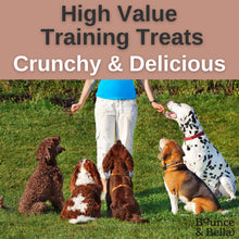 Load image into Gallery viewer, NEW BIGGER BOX!   Grain Free Ultimate Fish Training Treats for Dogs (Box of 20 x 500g)