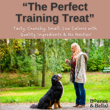 Load image into Gallery viewer, NEW BIGGER BOX!   Grain Free Ultimate Fish Training Treats for Dogs (Box of 20 x 500g)
