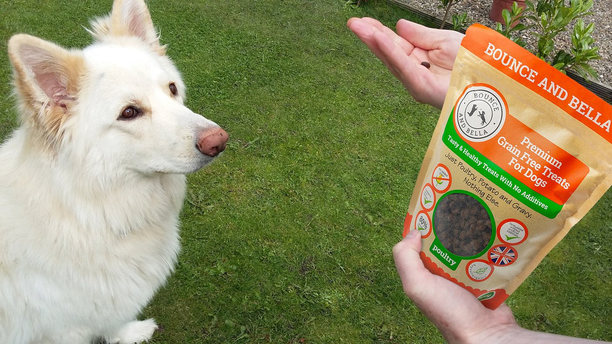 Grain free 2025 dog biscuits bulk