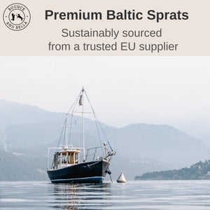 Premium Baltic Sprats Dog Treats (Box of 10 x 100g)