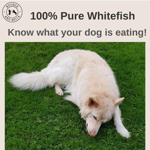 Fish Skin Snacks – Low Fat Dog Treats (box of 10 x 100g)