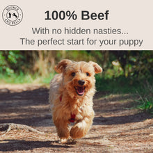 Load image into Gallery viewer, Pure Beef Nibbles – Just One Ingredient (Box of 12 x 100g)